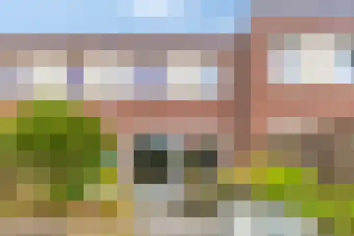 Elvis Presleystraat 27 Middelburg thumbnail 28
