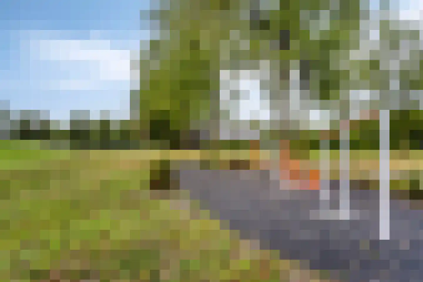 Elvis Presleystraat 50 Almere thumbnail 40