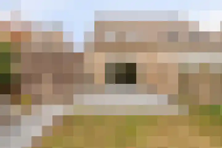 Elvis Presleystraat 6 Arnhem thumbnail 26