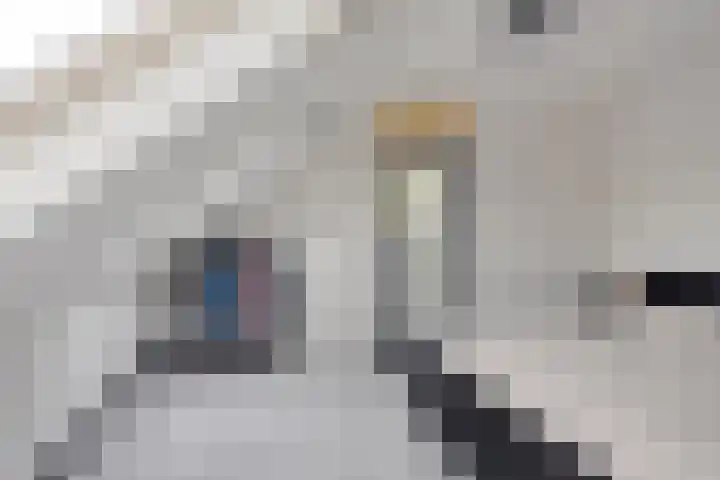 Elvis Presleystraat 6 Arnhem thumbnail 32