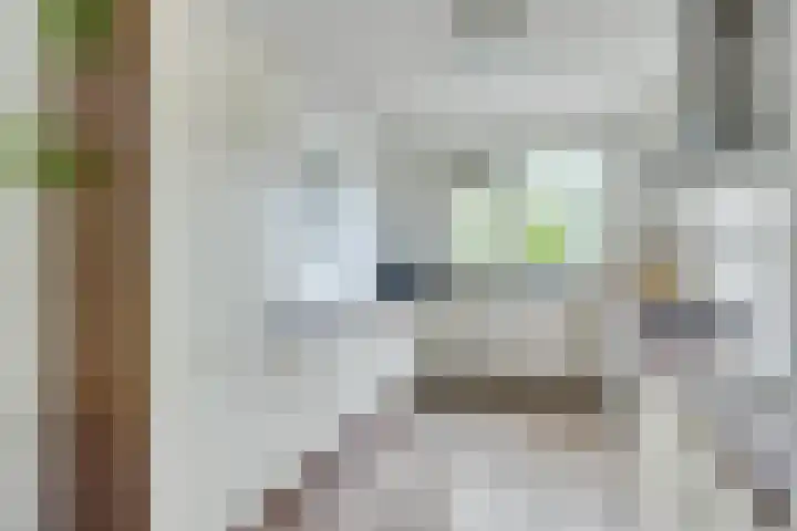 Elzas 78 Utrecht thumbnail 10