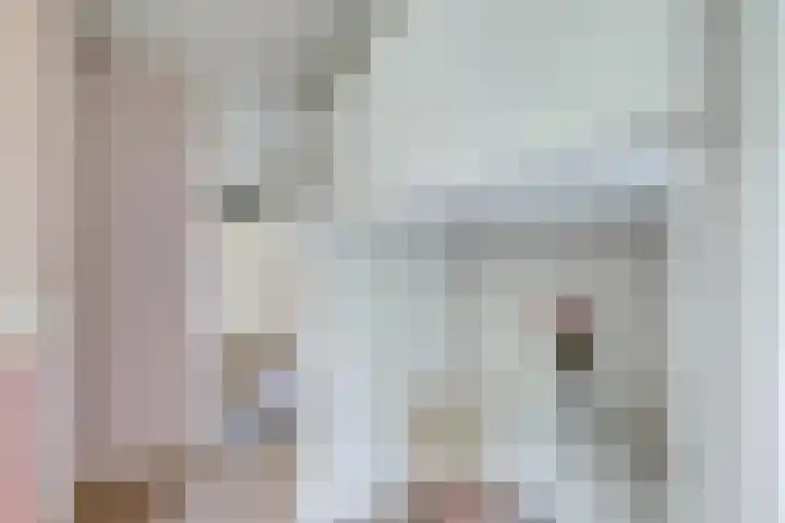 Elzas 78 Utrecht thumbnail 17