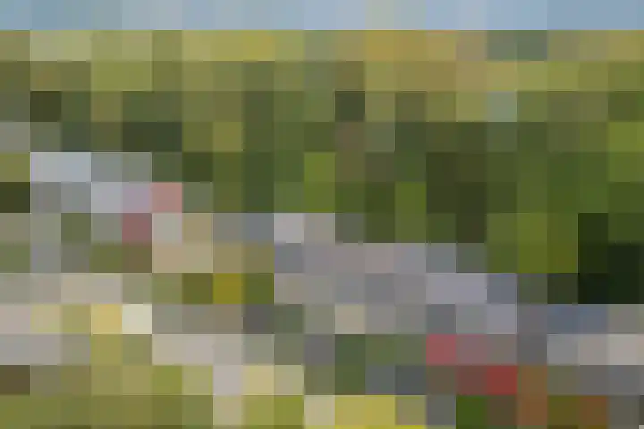 Elzas 78 Utrecht thumbnail 23