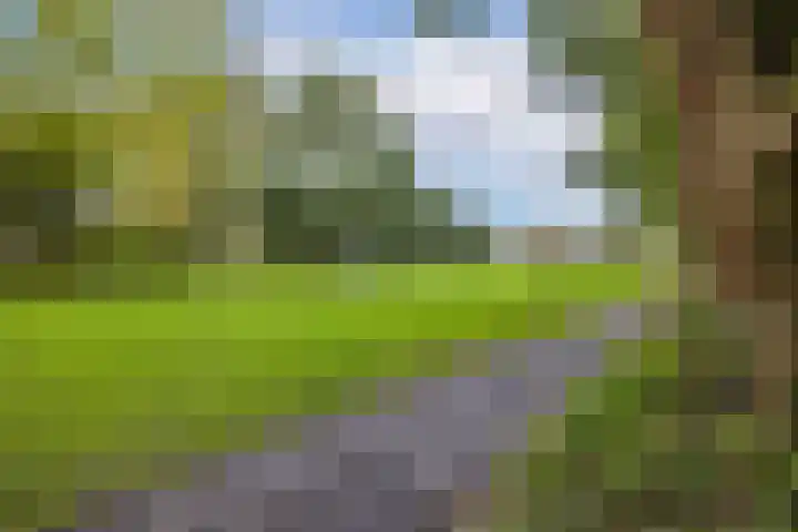 Elzas 78 Utrecht thumbnail 24