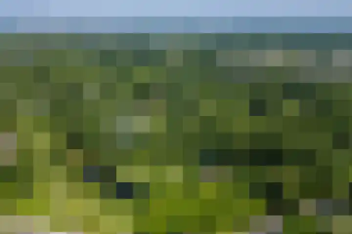 Elzas 78 Utrecht thumbnail 25