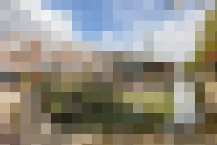 Elzas 78 Utrecht thumbnail 28