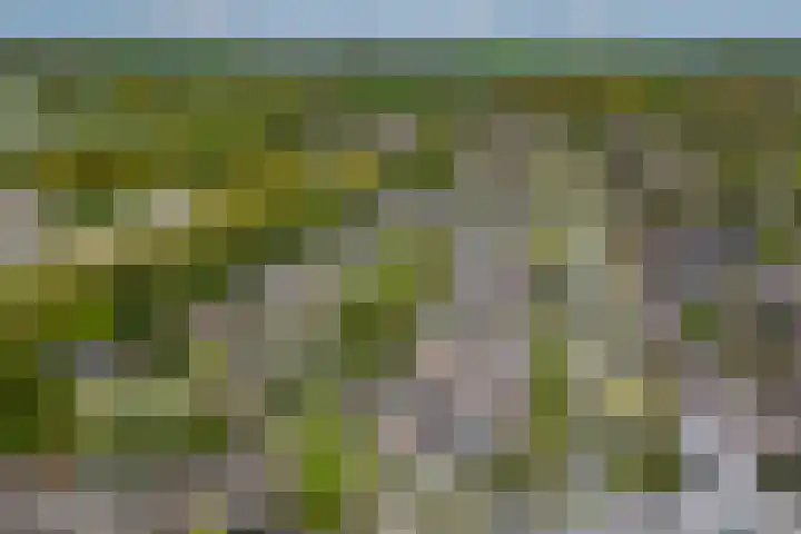 Elzas 78 Utrecht thumbnail 31
