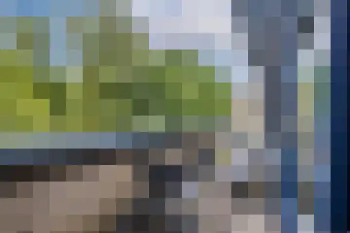 Elzas 78 Utrecht thumbnail 4