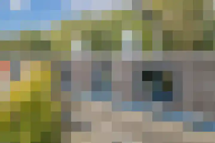 Elzas 78 Utrecht thumbnail 6