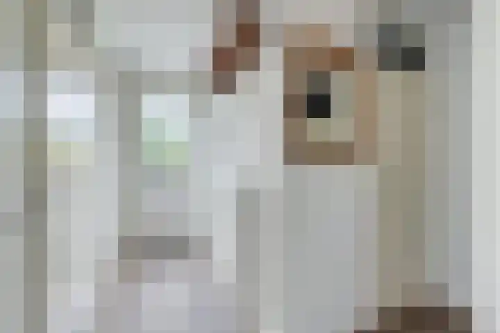 Elzas 78 Utrecht thumbnail 7