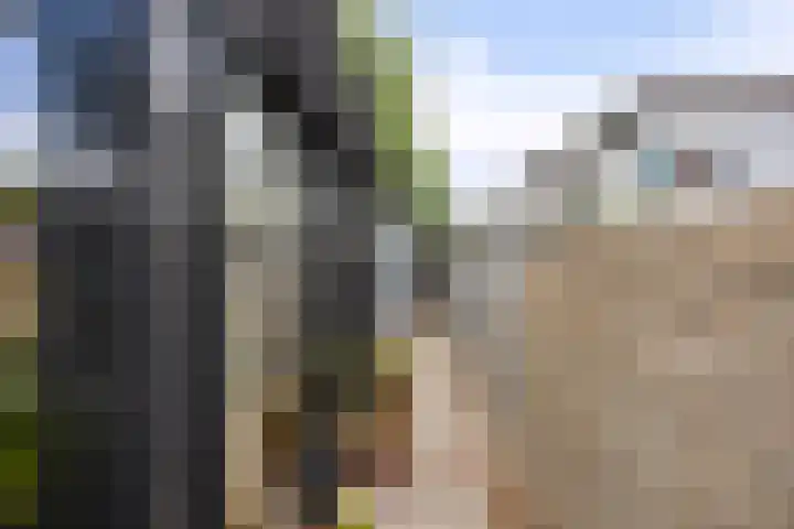 Elzasplein 26 Sittard thumbnail 30