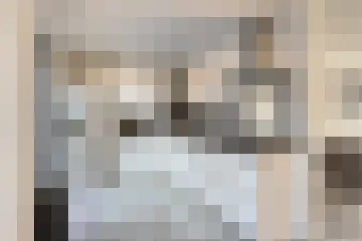 Elzasstraat 7 Axel thumbnail 10
