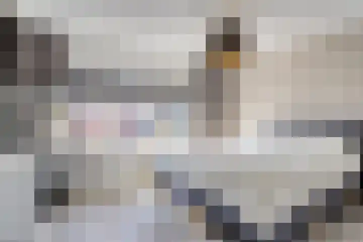 Elzasstraat 7 Axel thumbnail 12