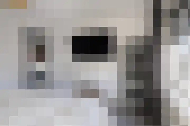 Elzasstraat 7 Axel thumbnail 13