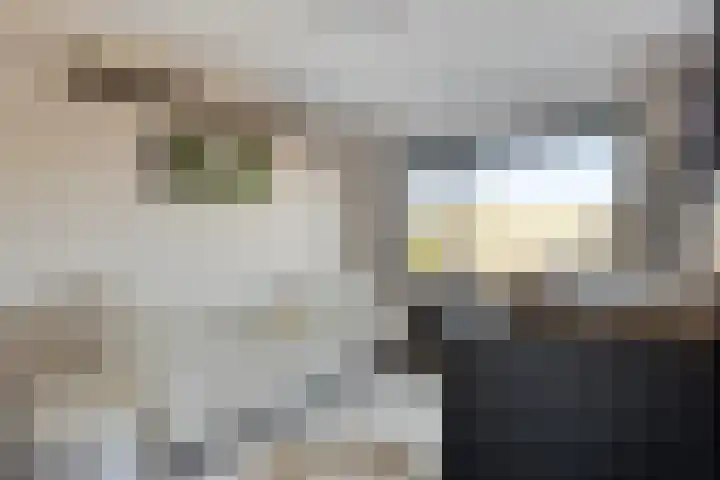 Elzasstraat 7 Axel thumbnail 16