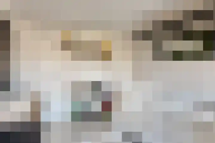 Elzasstraat 7 Axel thumbnail 17