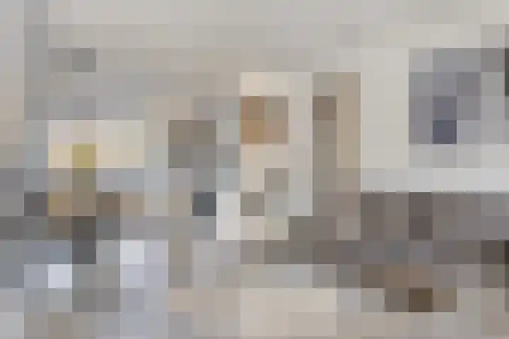 Elzasstraat 7 Axel thumbnail 6