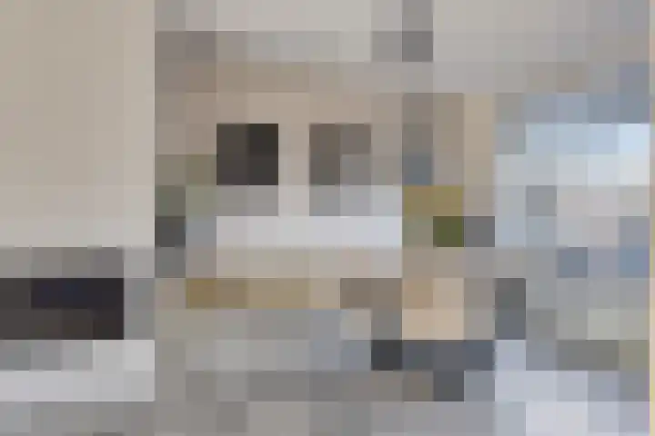 Elzasstraat 7 Axel thumbnail 7