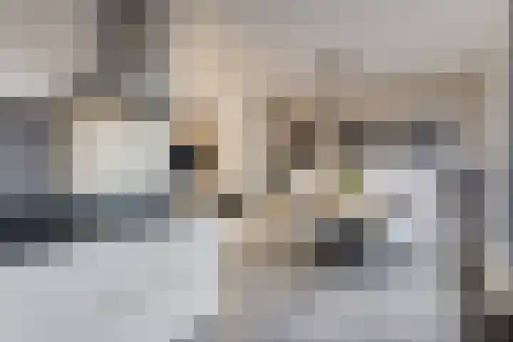 Elzasstraat 7 Axel thumbnail 9