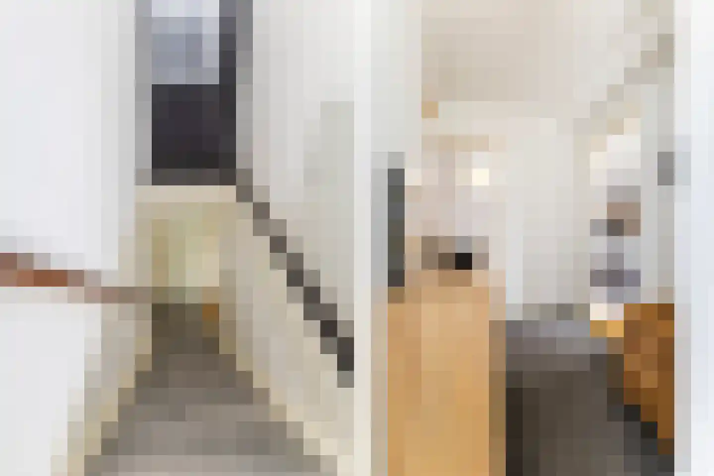 Elzebeamhôf 19 Stiens thumbnail 12