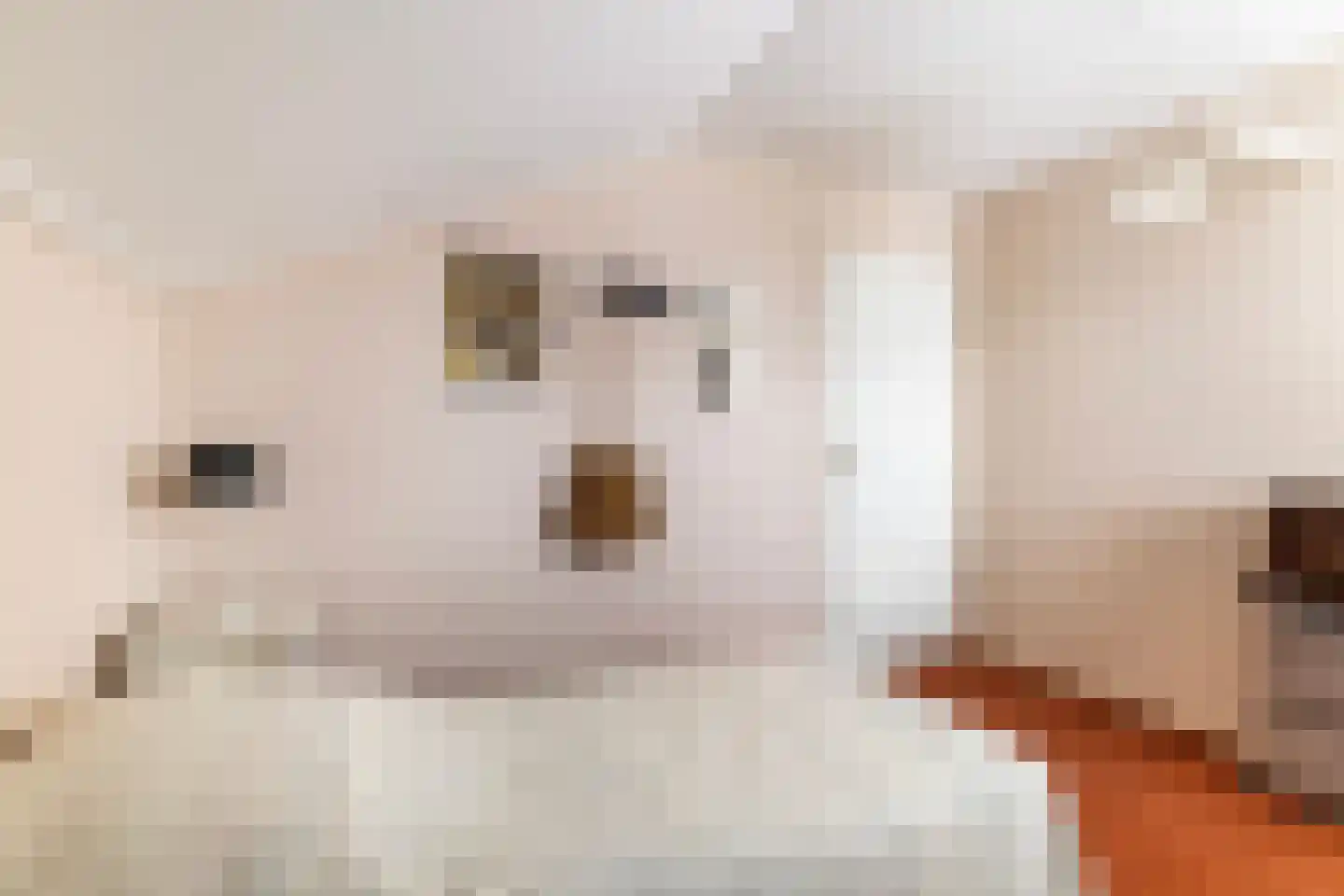 Elzebeamhôf 19 Stiens thumbnail 16