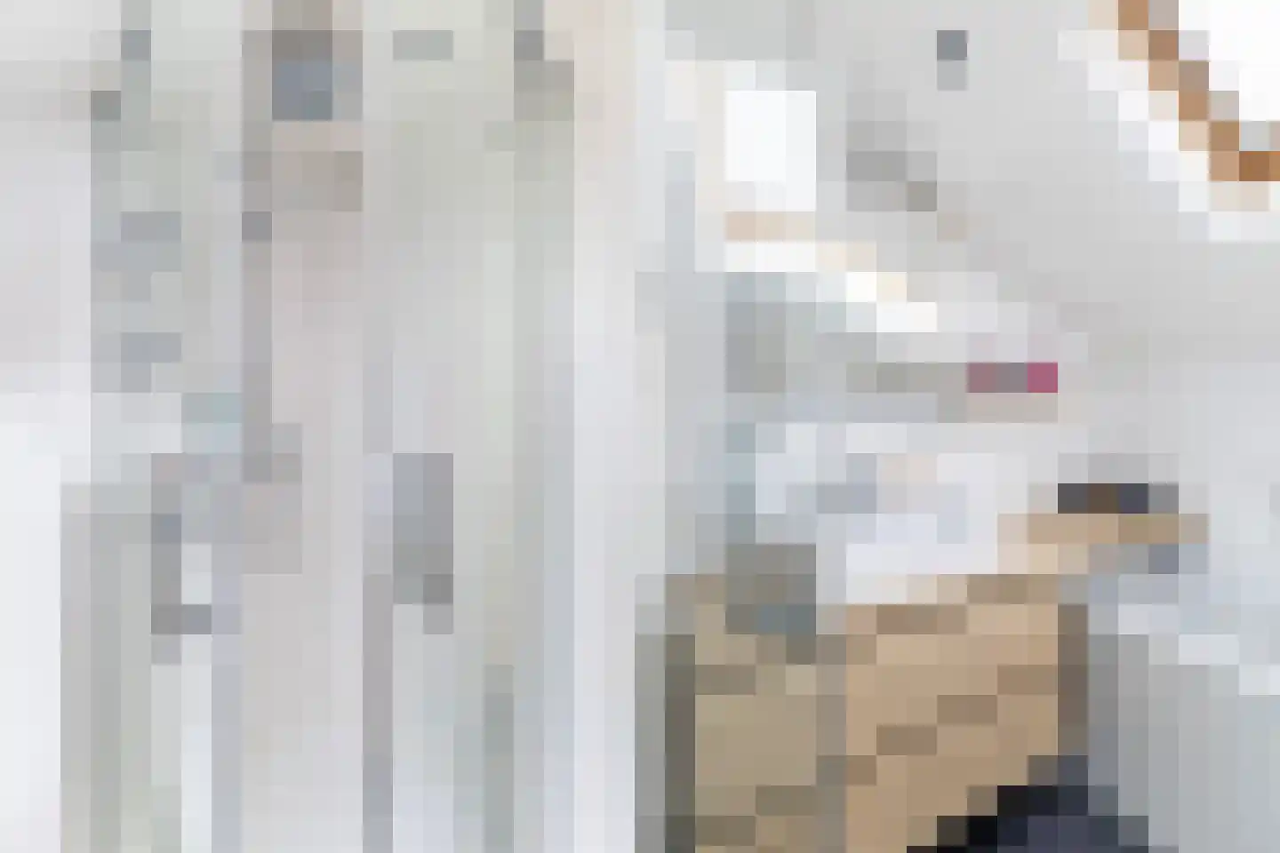 Elzebeamhôf 19 Stiens thumbnail 19