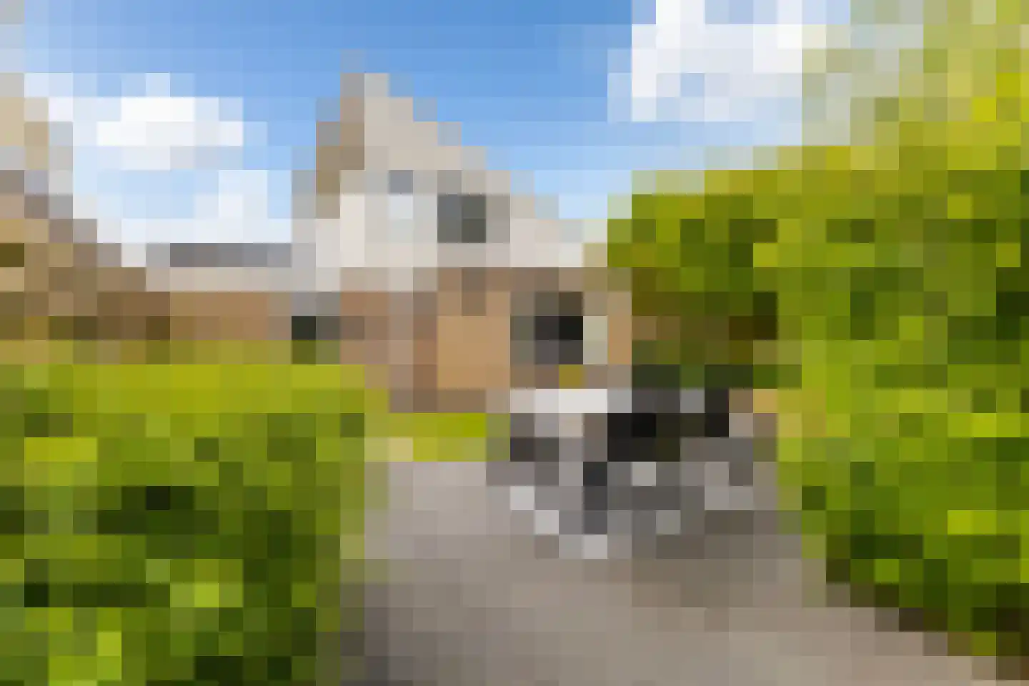 Elzebeamhôf 19 Stiens thumbnail 22