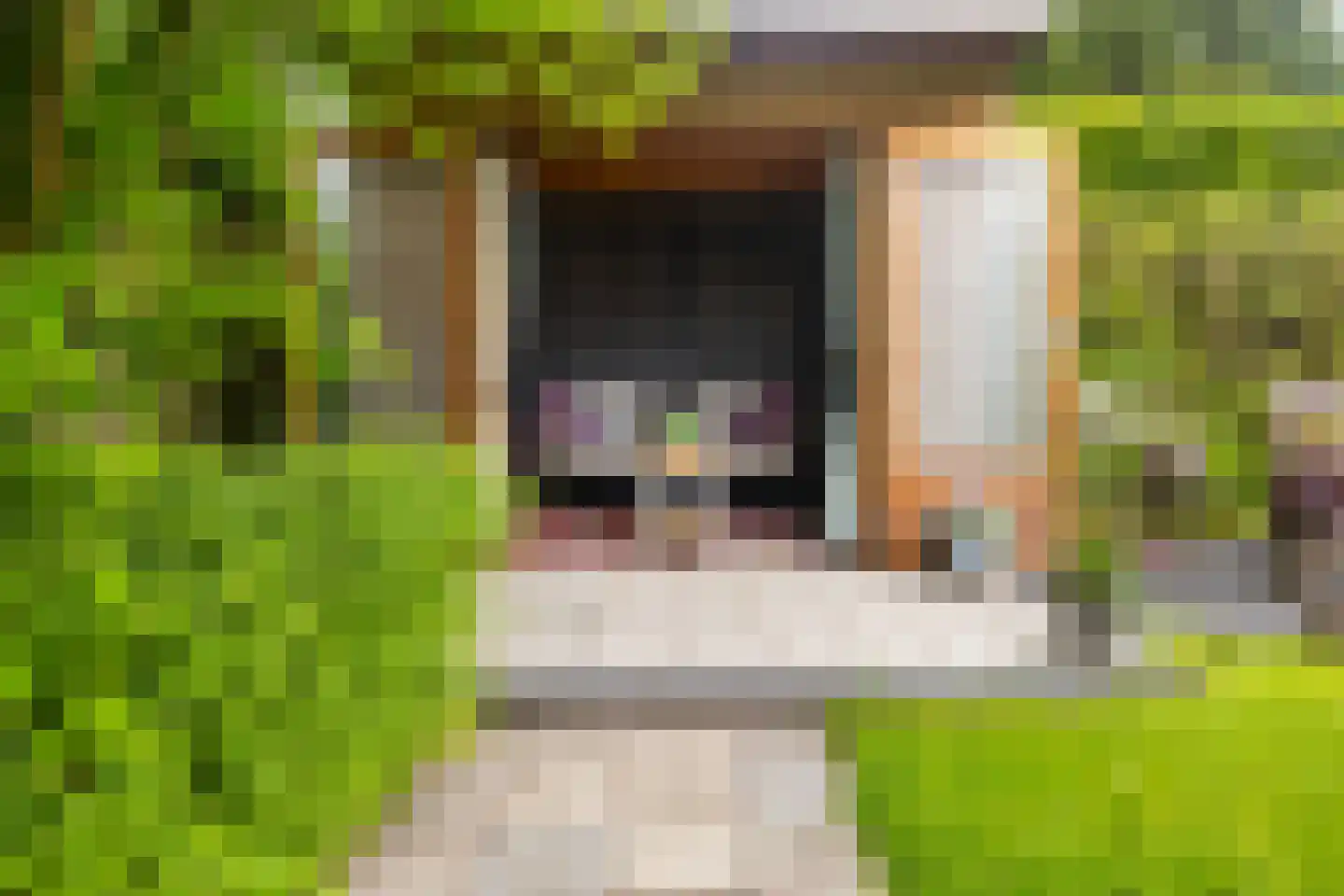 Elzebeamhôf 19 Stiens thumbnail 23