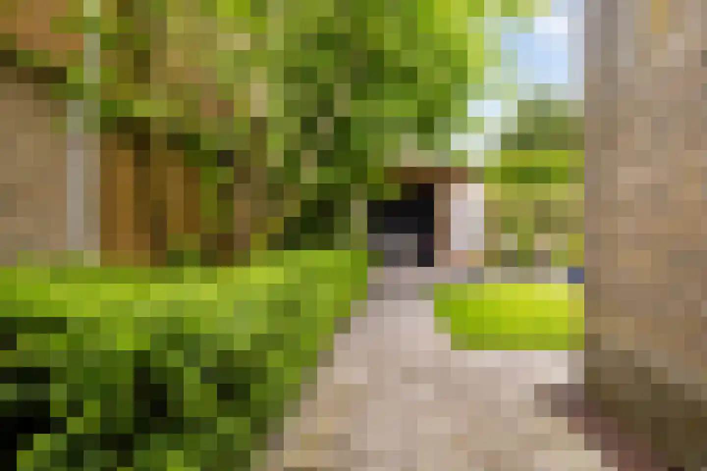 Elzebeamhôf 19 Stiens thumbnail 24