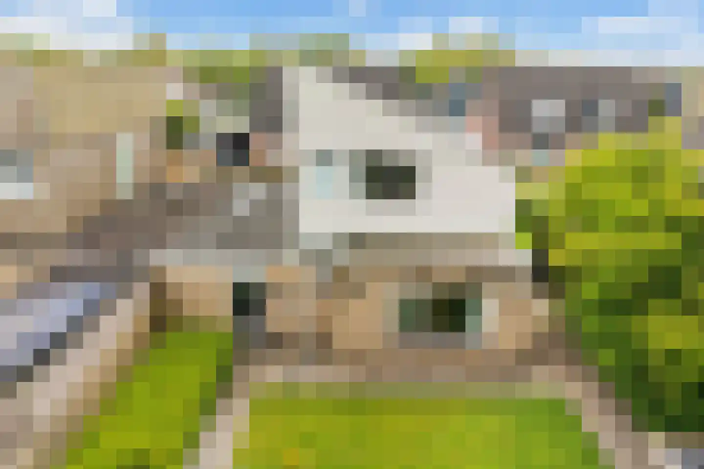 Elzebeamhôf 19 Stiens thumbnail 25