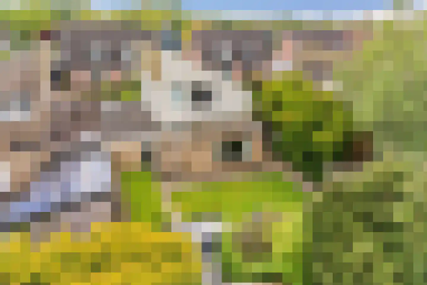 Elzebeamhôf 19 Stiens thumbnail 26