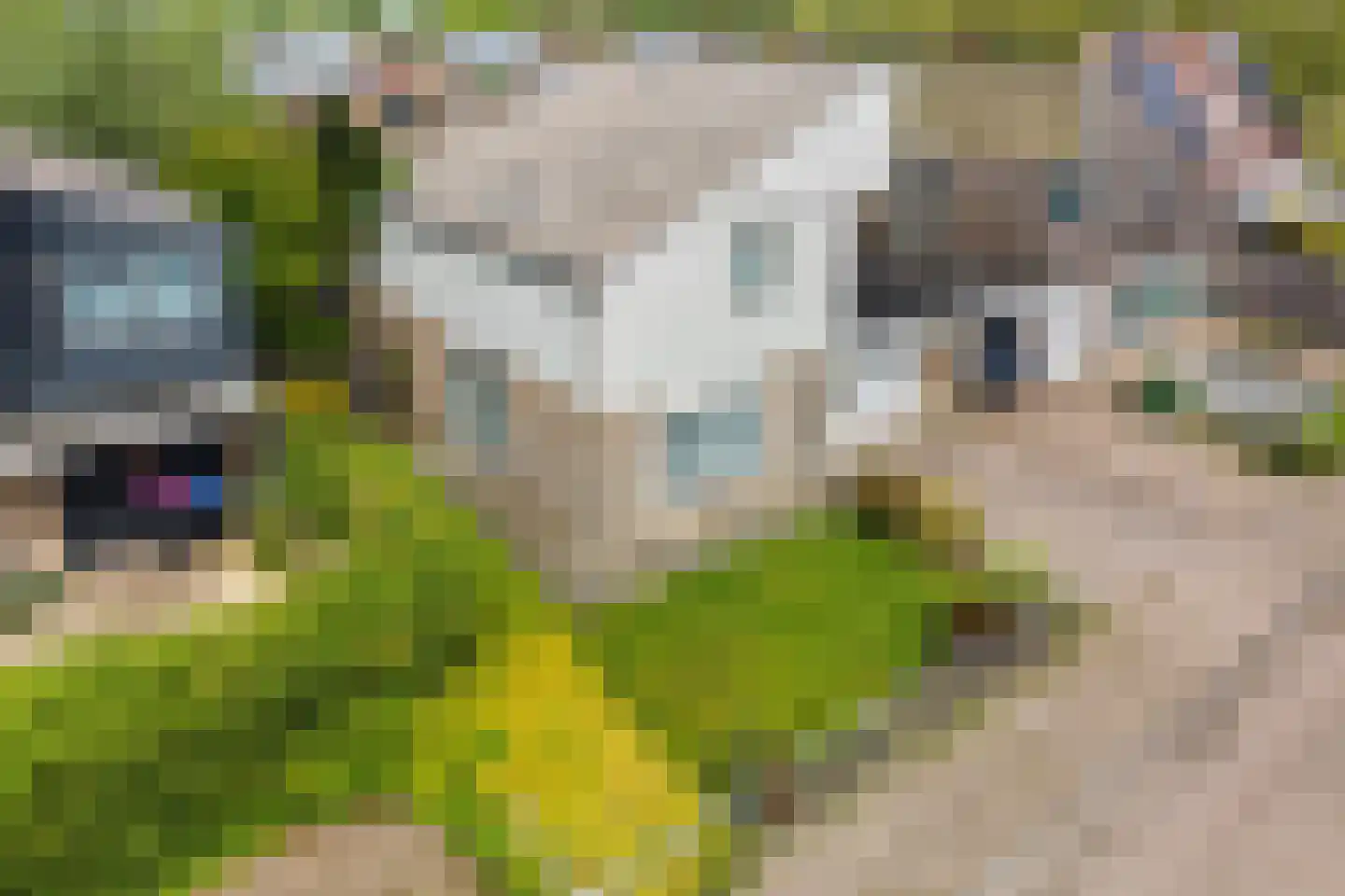 Elzebeamhôf 19 Stiens thumbnail 27
