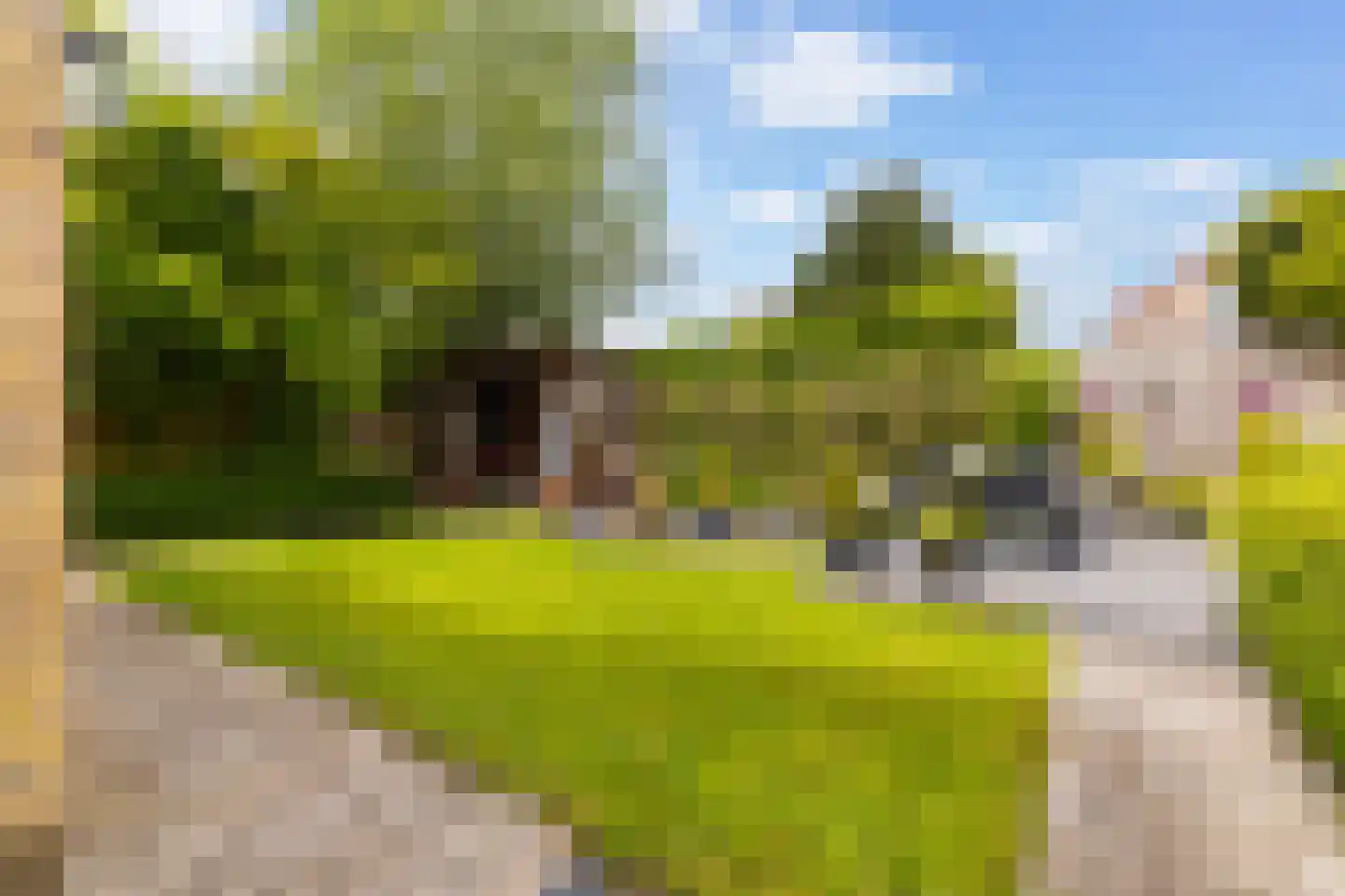 Elzebeamhôf 19 Stiens thumbnail 4