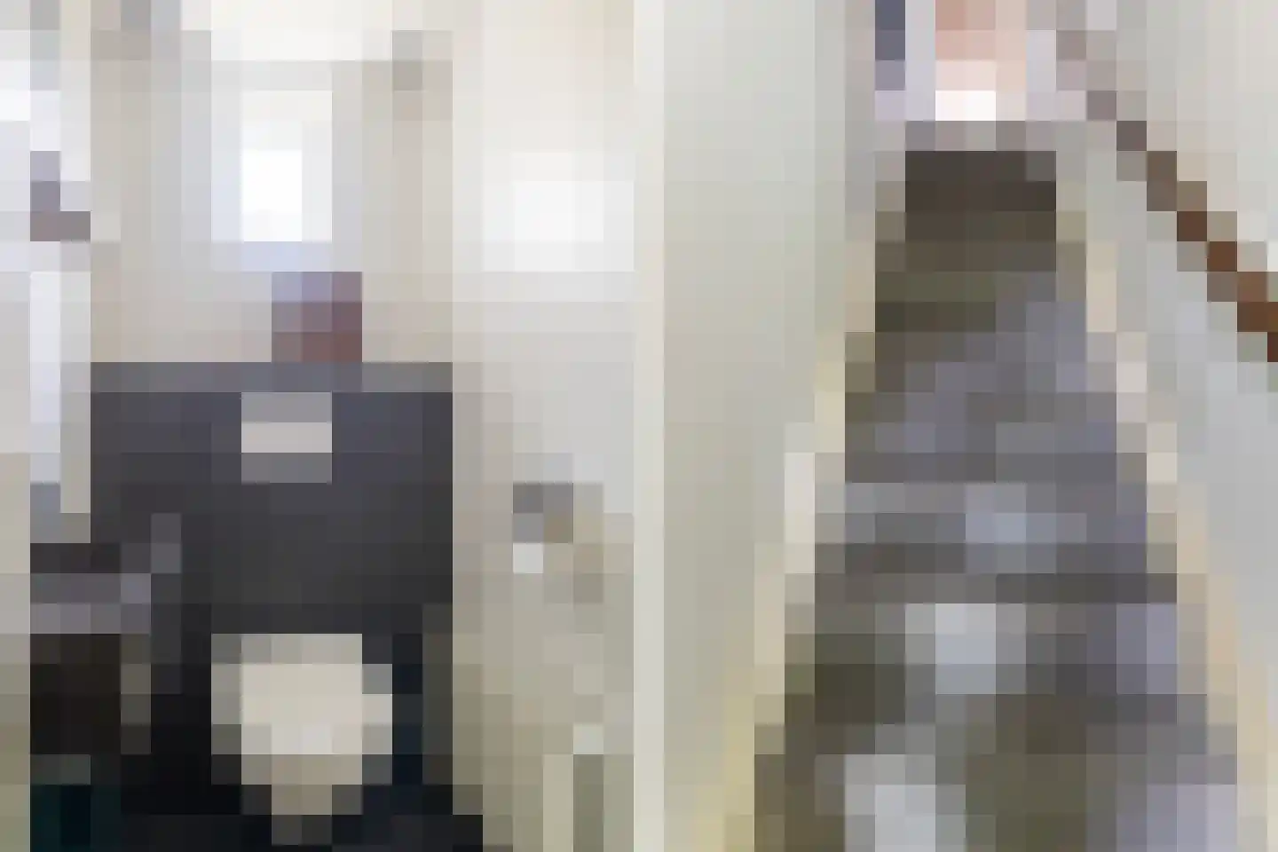 Elzebeamhôf 19 Stiens thumbnail 7