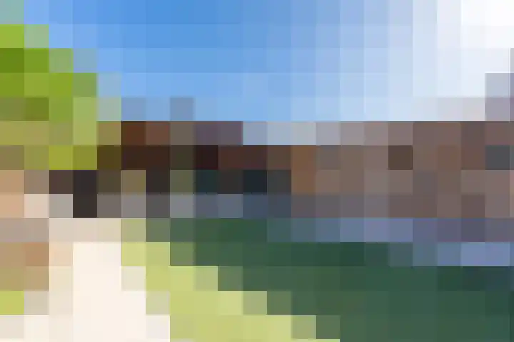 Elzehof 12 Landgraaf thumbnail 30