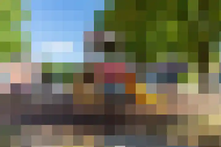 Elzehof 12 Landgraaf thumbnail 38