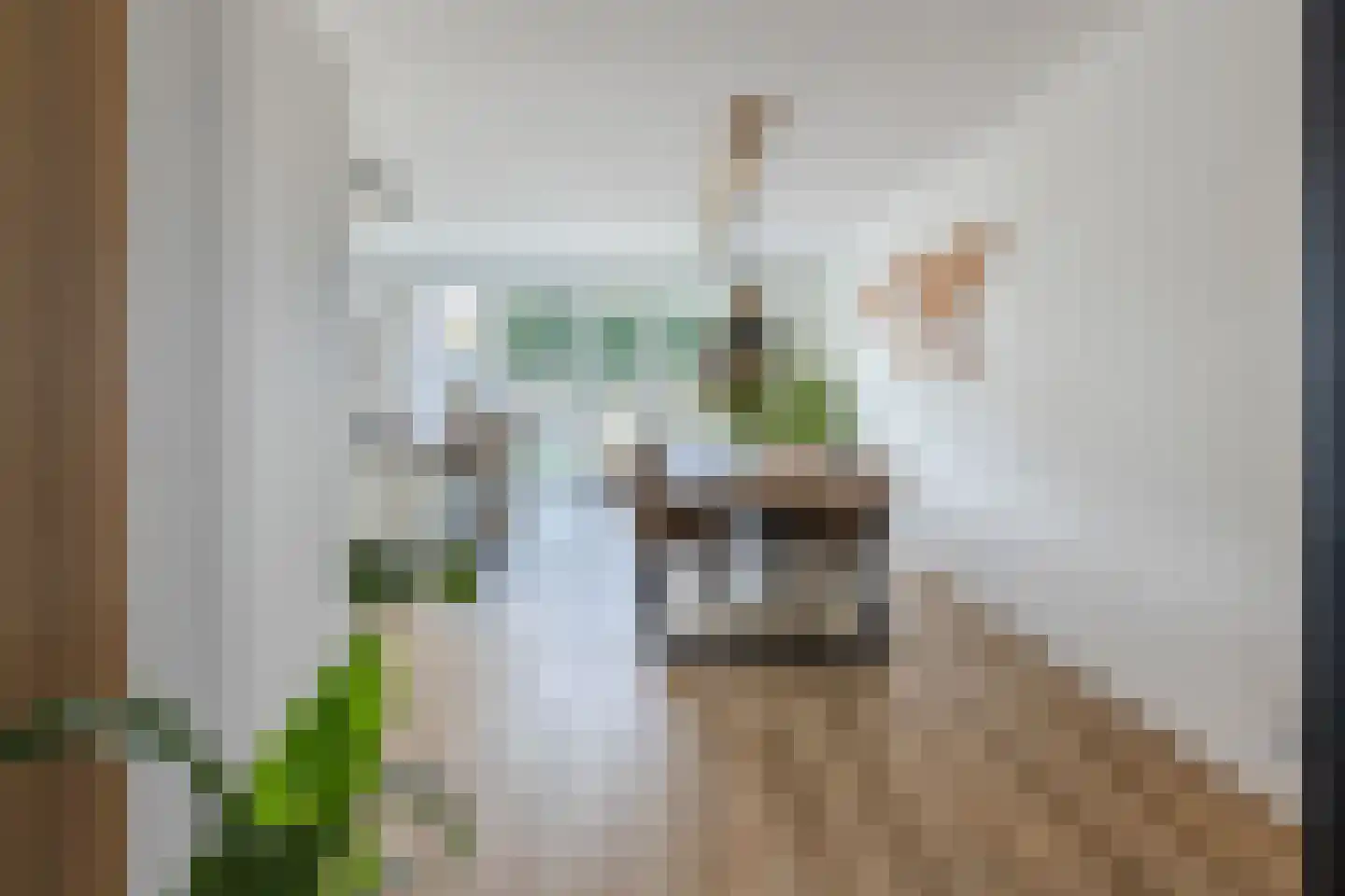 Elzehôf 13 Lemmer thumbnail 20