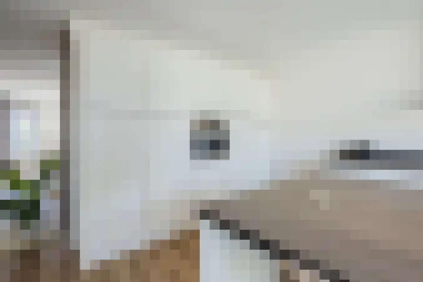Elzehôf 13 Lemmer thumbnail 22