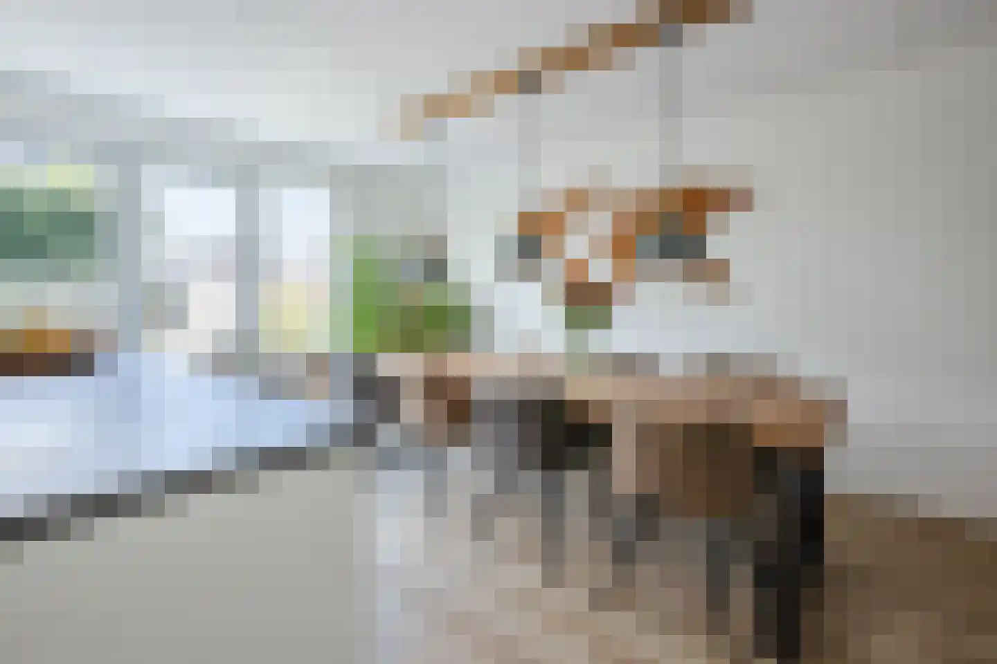 Elzehôf 13 Lemmer thumbnail 26