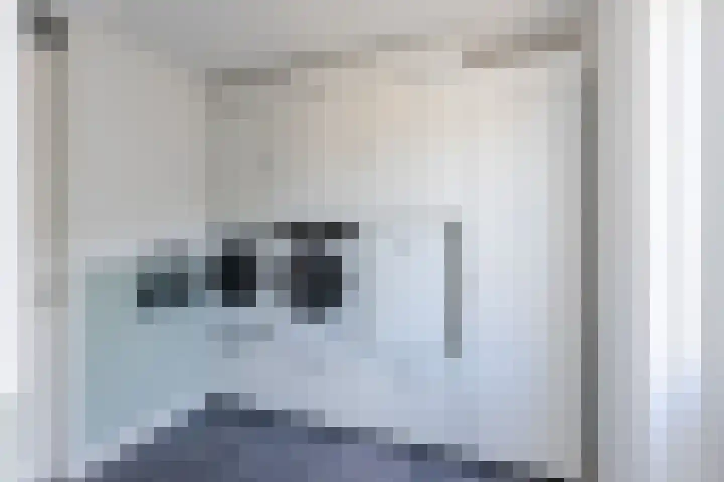 Elzehôf 13 Lemmer thumbnail 30