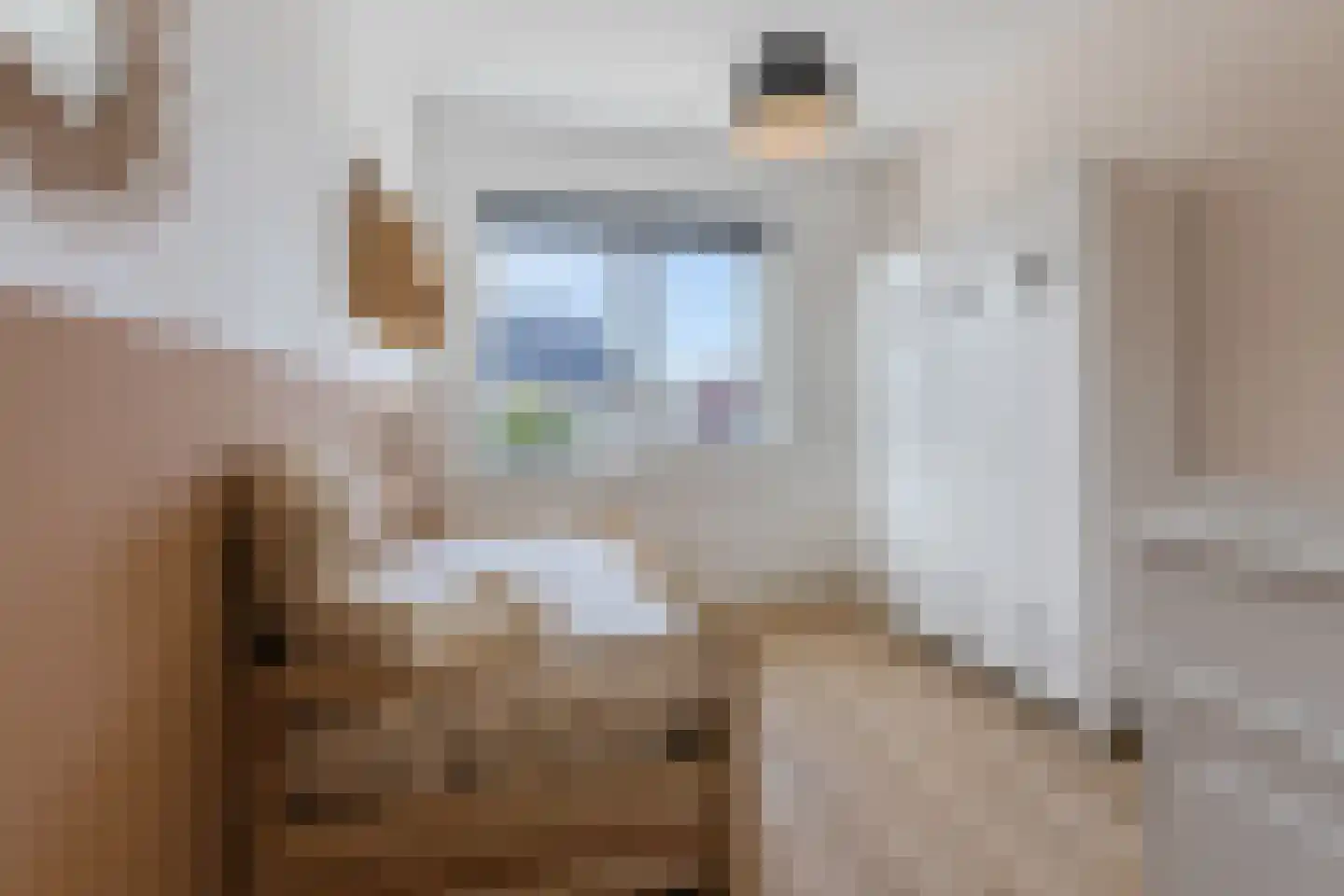 Elzehôf 13 Lemmer thumbnail 35