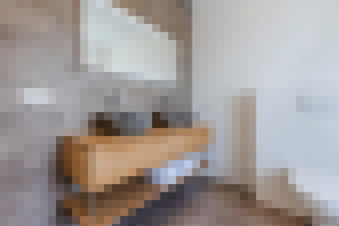 Elzehôf 13 Lemmer thumbnail 40