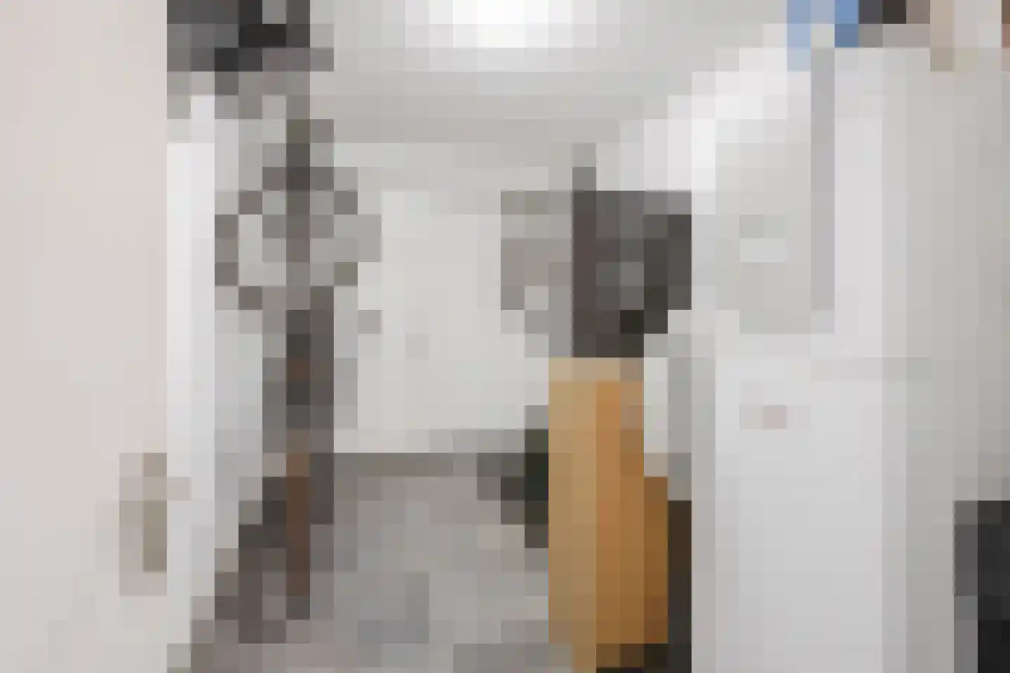 Elzehôf 13 Lemmer thumbnail 51