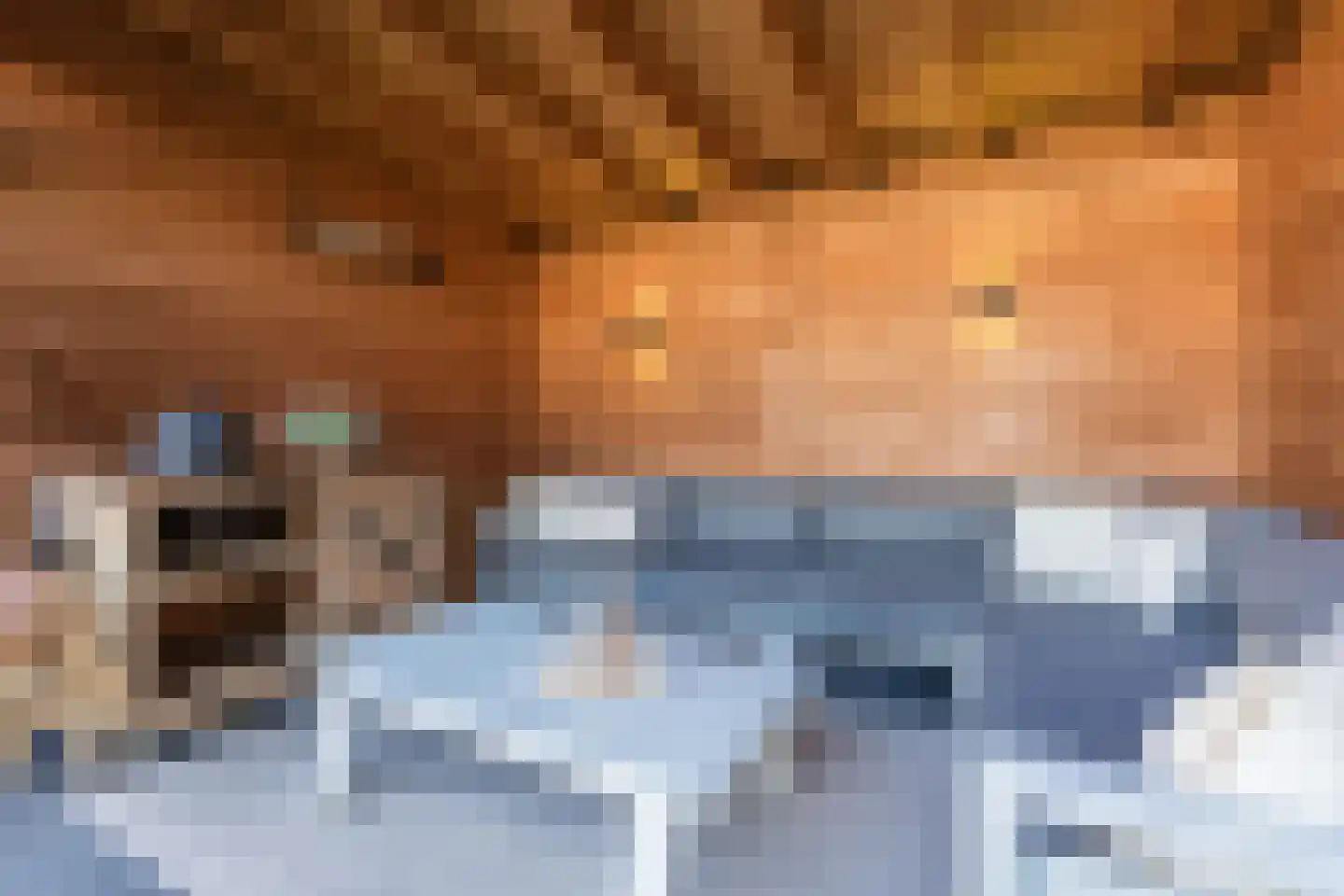 Elzehôf 13 Lemmer thumbnail 58
