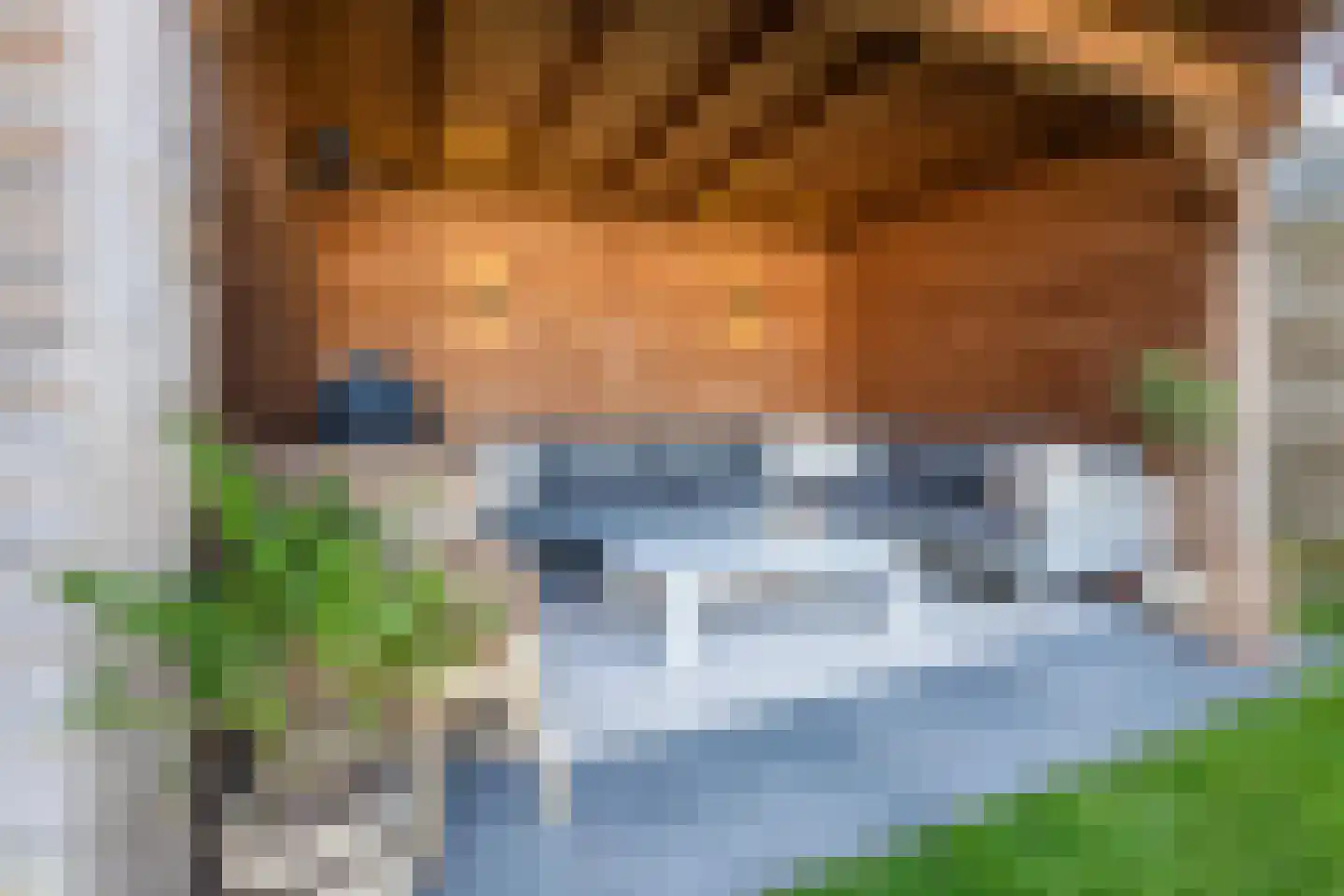 Elzehôf 13 Lemmer thumbnail 6
