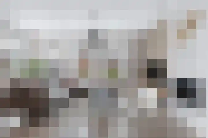 Elzehôf 2 Lemmer thumbnail 11