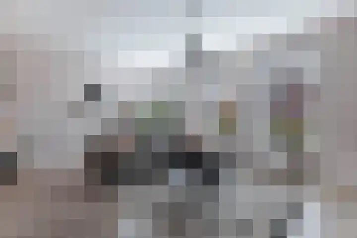 Elzehôf 2 Lemmer thumbnail 12