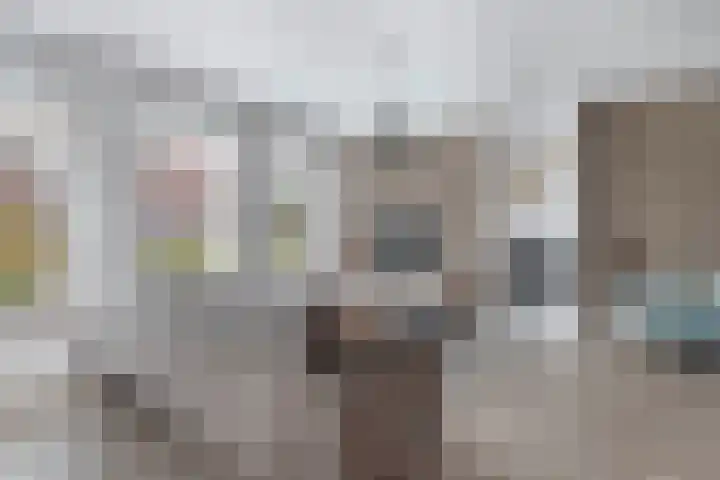 Elzehôf 2 Lemmer thumbnail 13