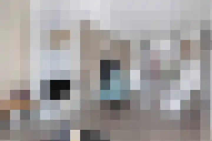 Elzehôf 2 Lemmer thumbnail 15