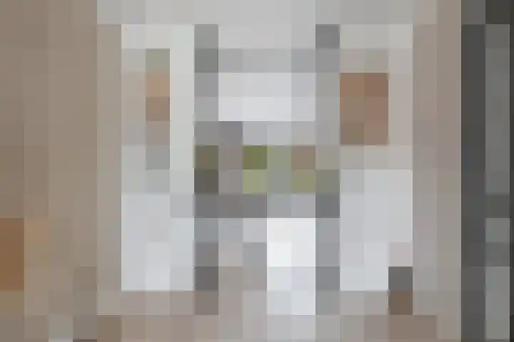 Elzehôf 2 Lemmer thumbnail 16